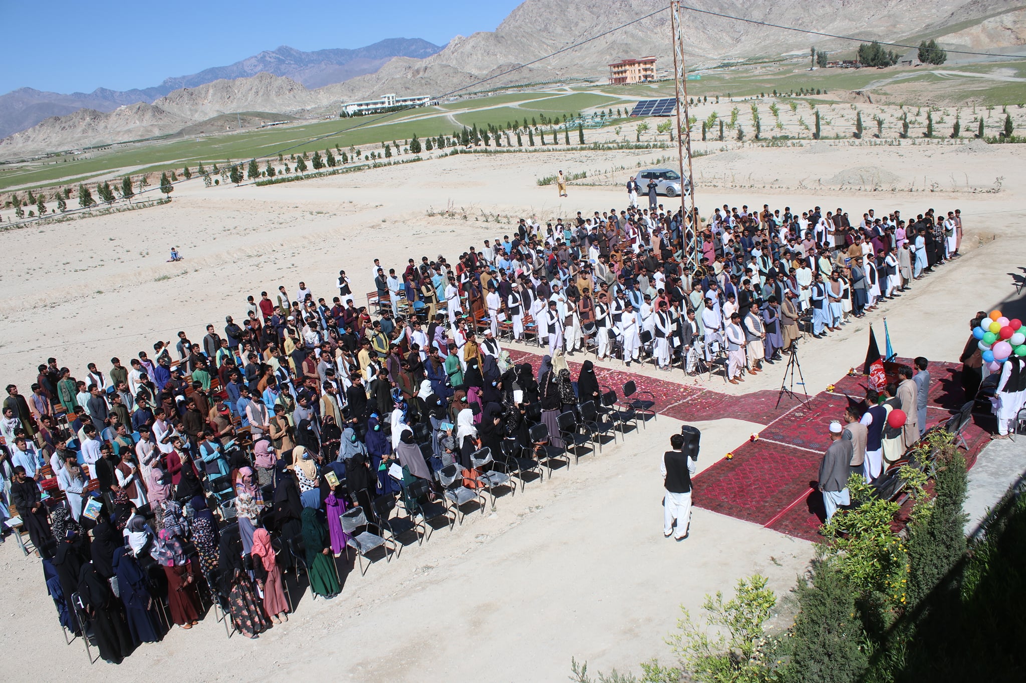 نوی کال